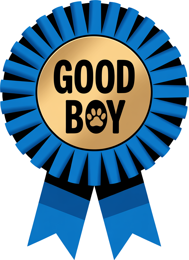 Good Boy Rosette