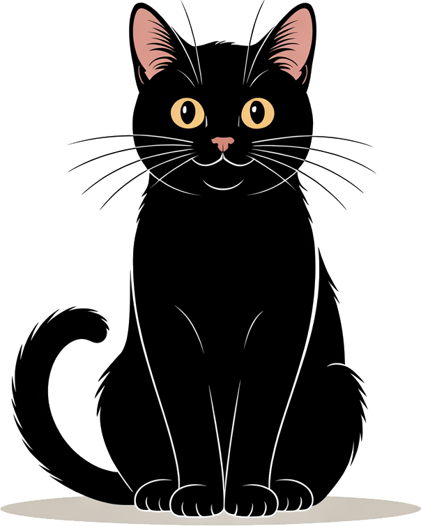 Black Cat